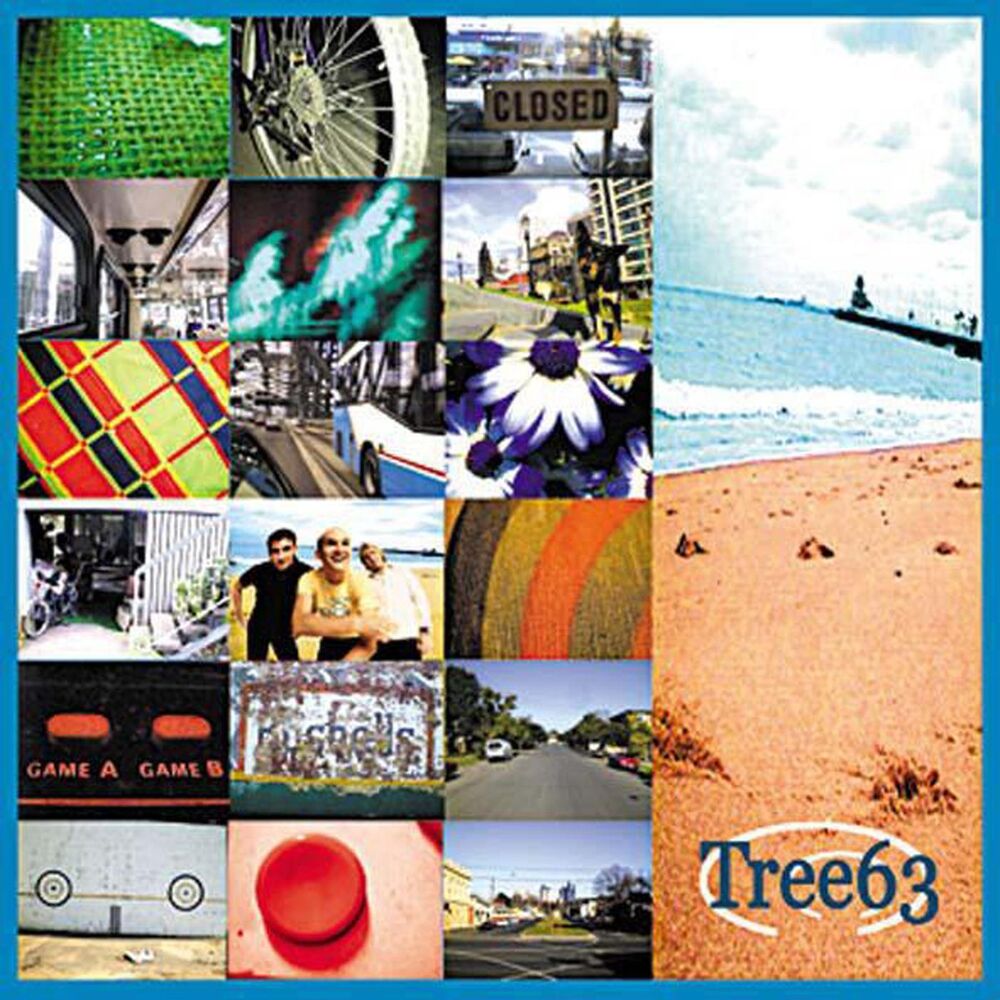 Picture of Tree63