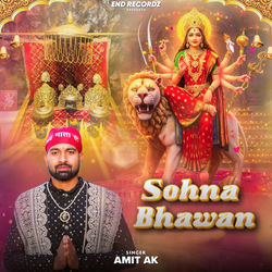 Cover of Sohna Bhawan by undefined