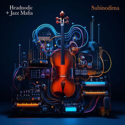 Cover of Subinodima