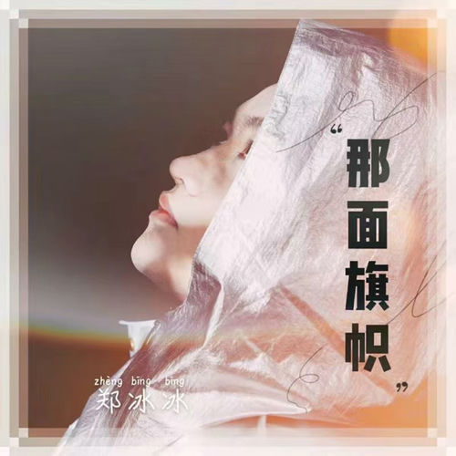那面旗帜