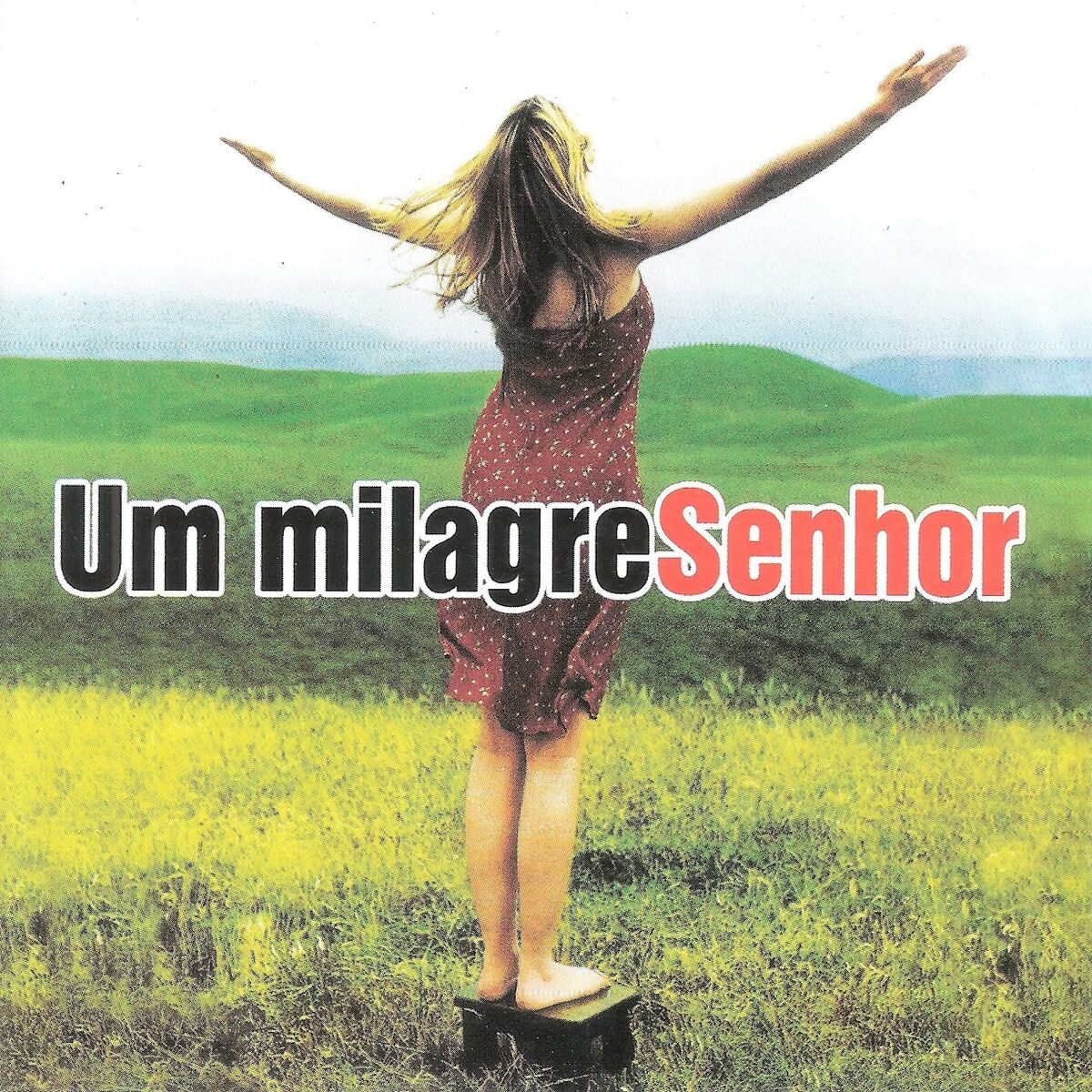 Album cover of Um Milagre Senhor
