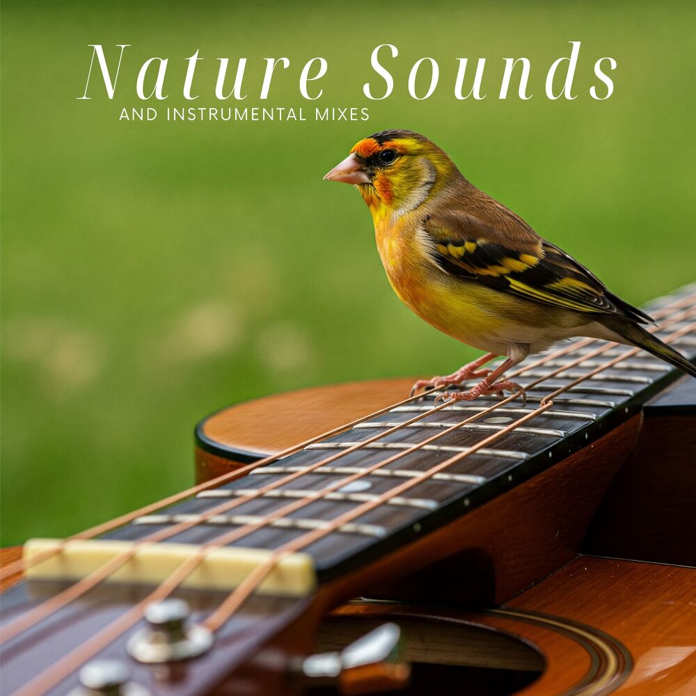 Picture of Nature Sounds and Instrumental Mixes