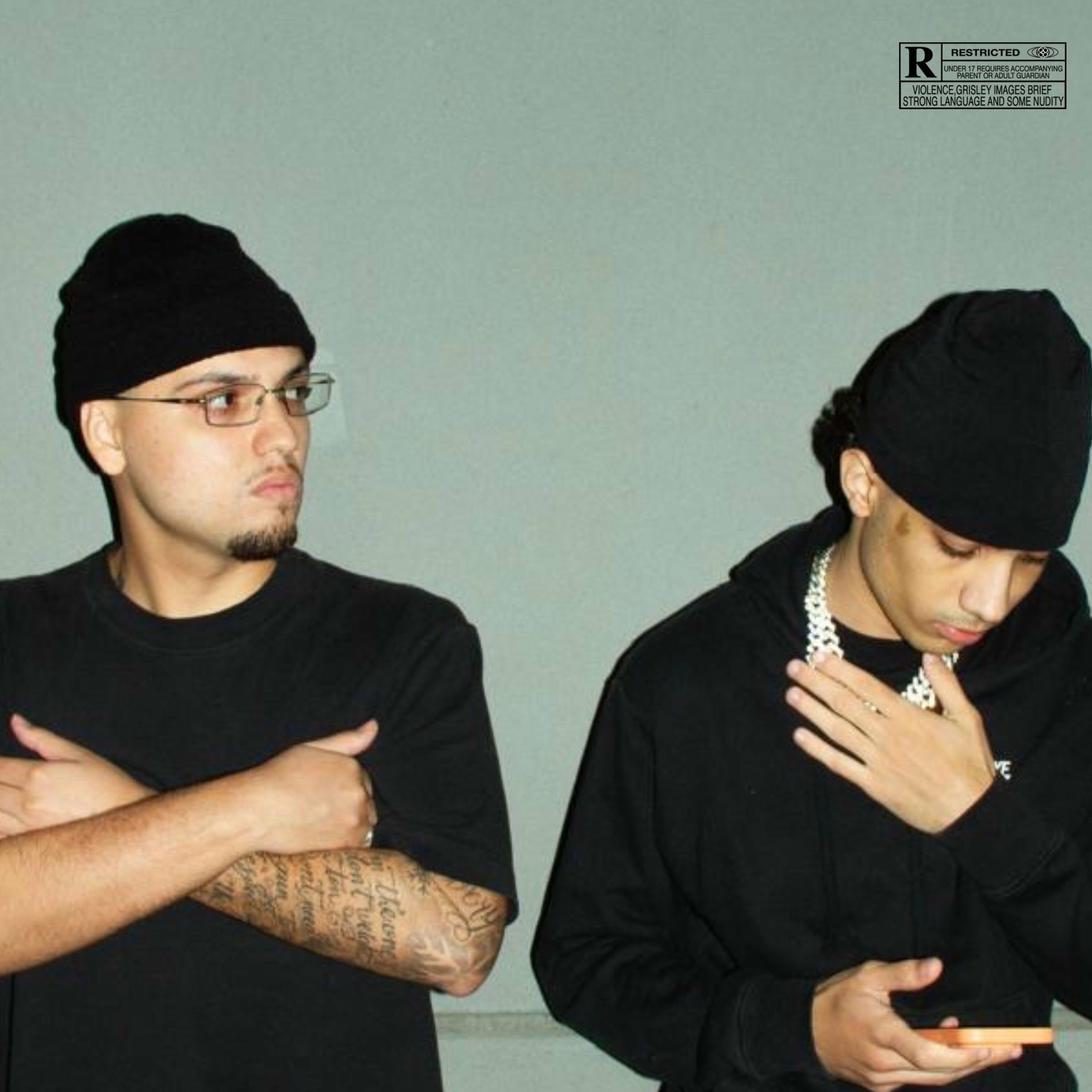 Album cover of No Seu Celular