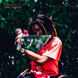 Cover of Final Fantasy