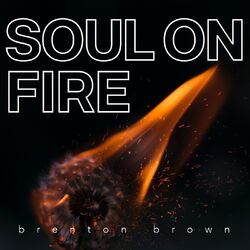 Cover of Soul on Fire