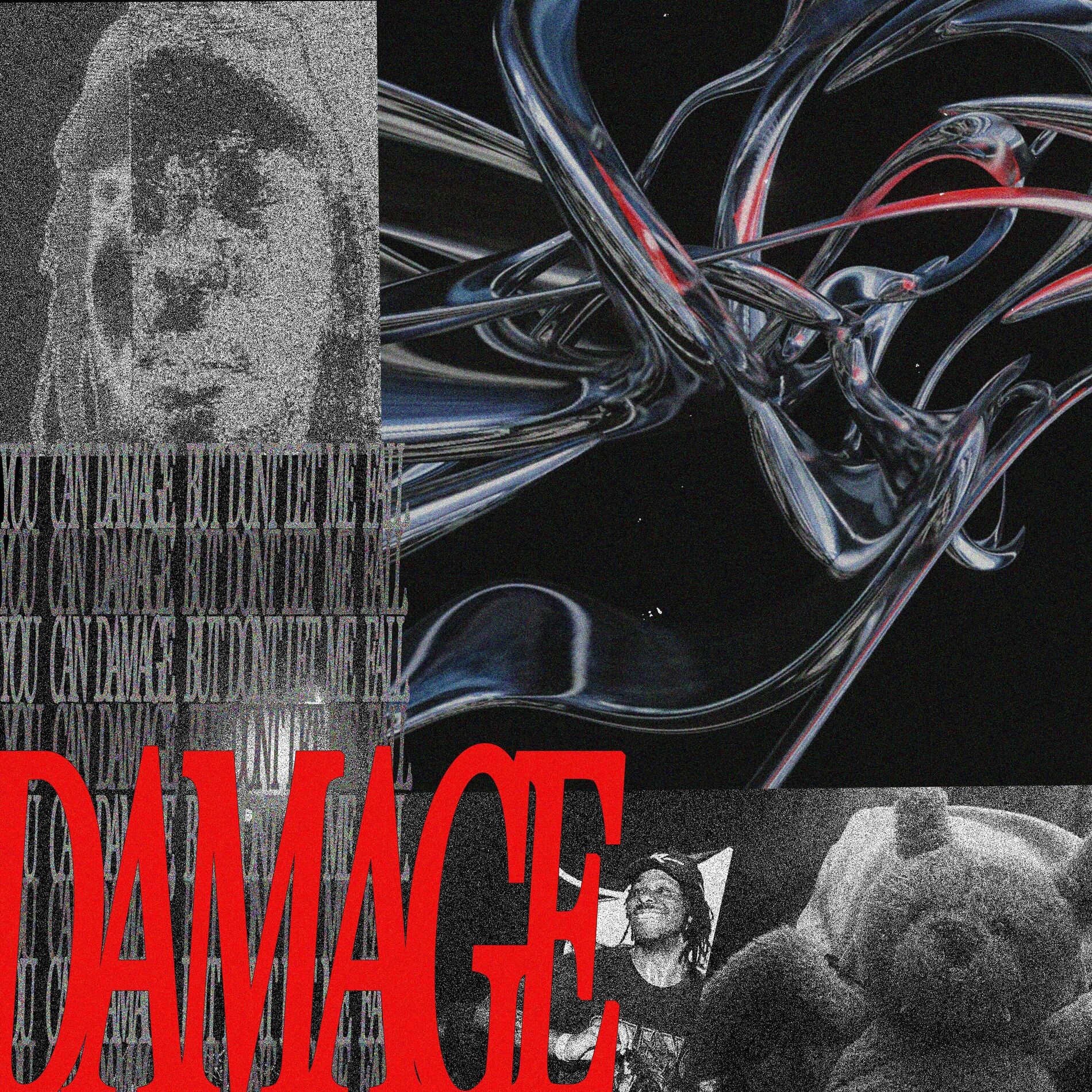 Album cover of DAMAGE