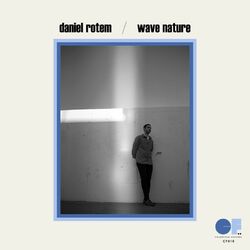 Cover of Wave Nature
