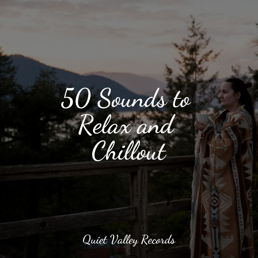Picture of 50 Sounds to Relax and Chillout For Dogs
