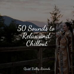 Cover of 50 Sounds to Relax and Chillout
