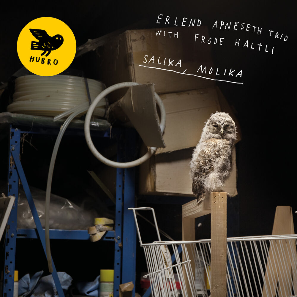 Picture of Salika, Molika