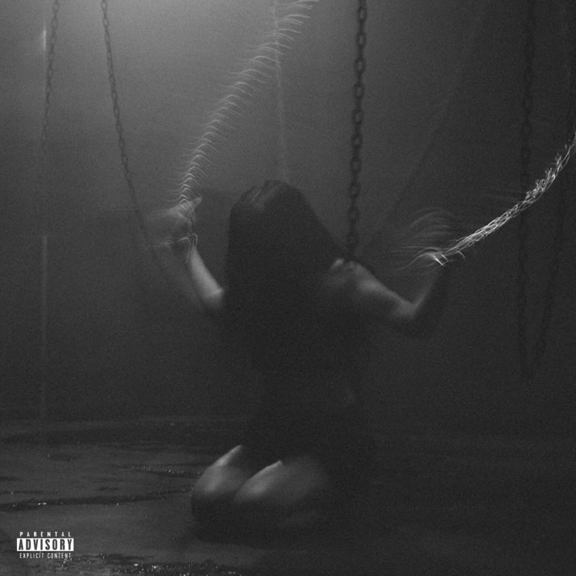 Album cover of CH4iNS (±)