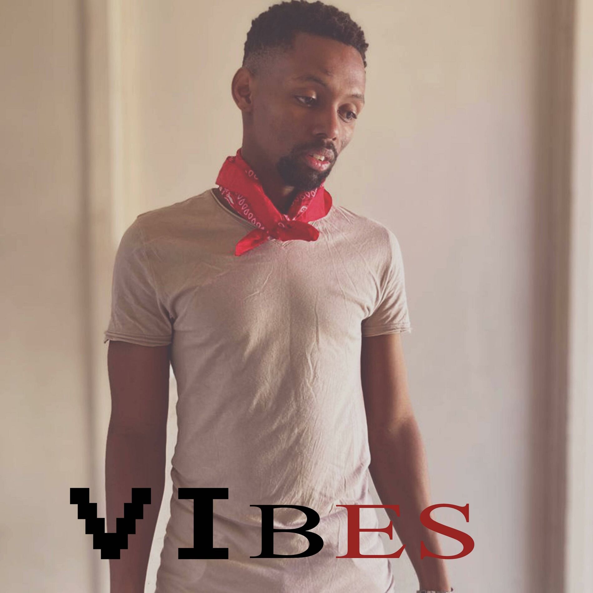 Album cover of Vibes