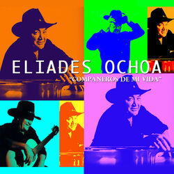 Cover of Companeros De Mi Vida