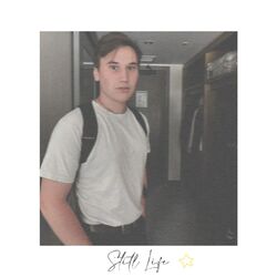 Cover of Still Life