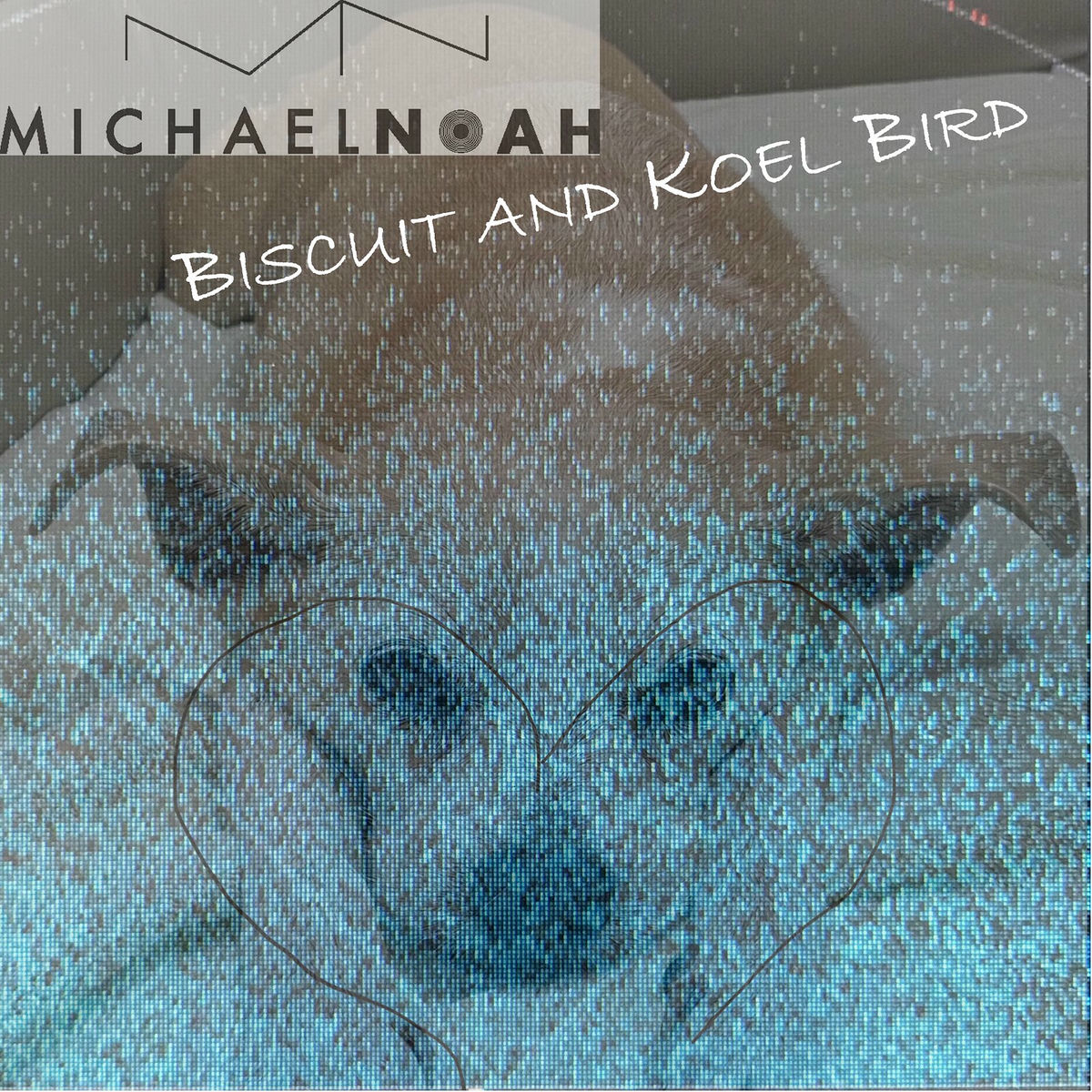 Album cover of Biscuit and Koel Bird