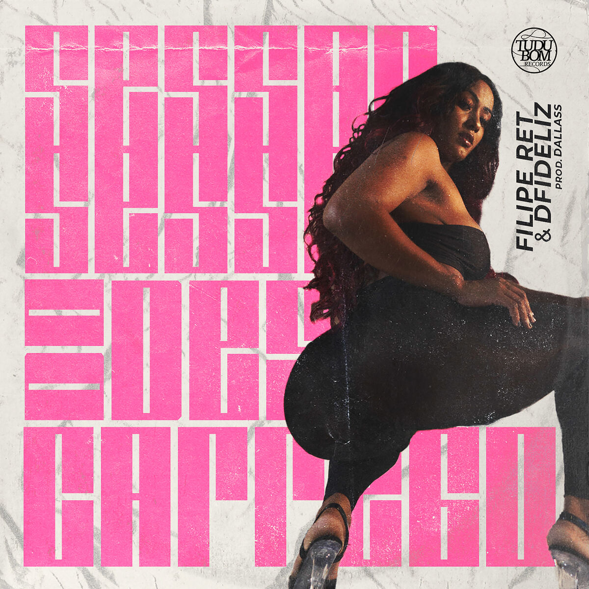 Album cover of Sessão do Descarrego