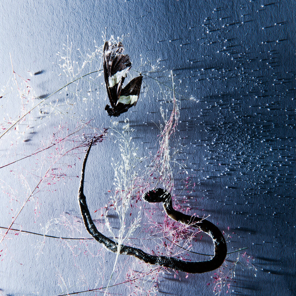Picture of III