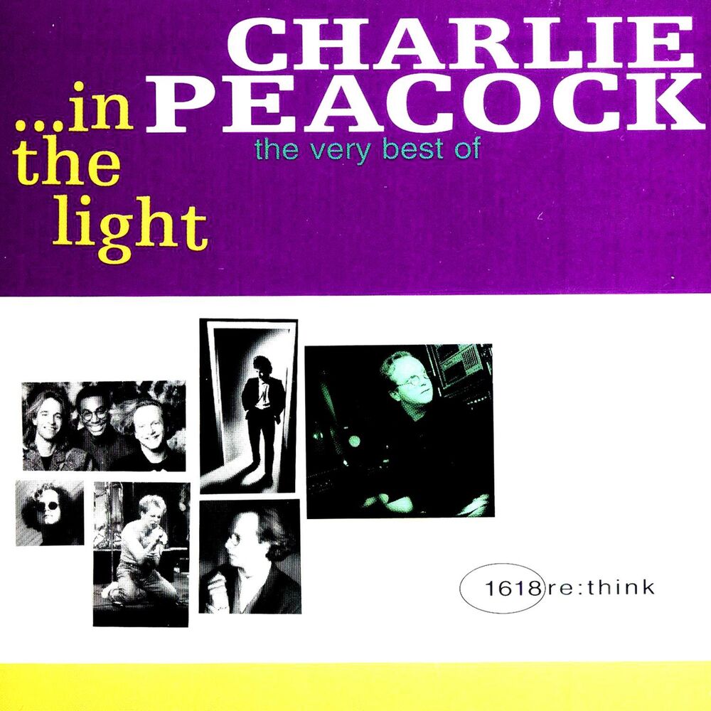 Picture of In The Light - The Very Best Of...