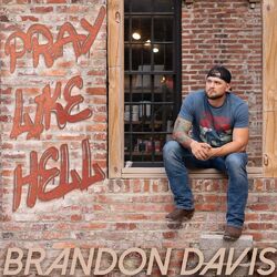 Cover of Pray Like Hell