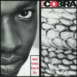 Cover of Hard To Wet, Easy To Dry