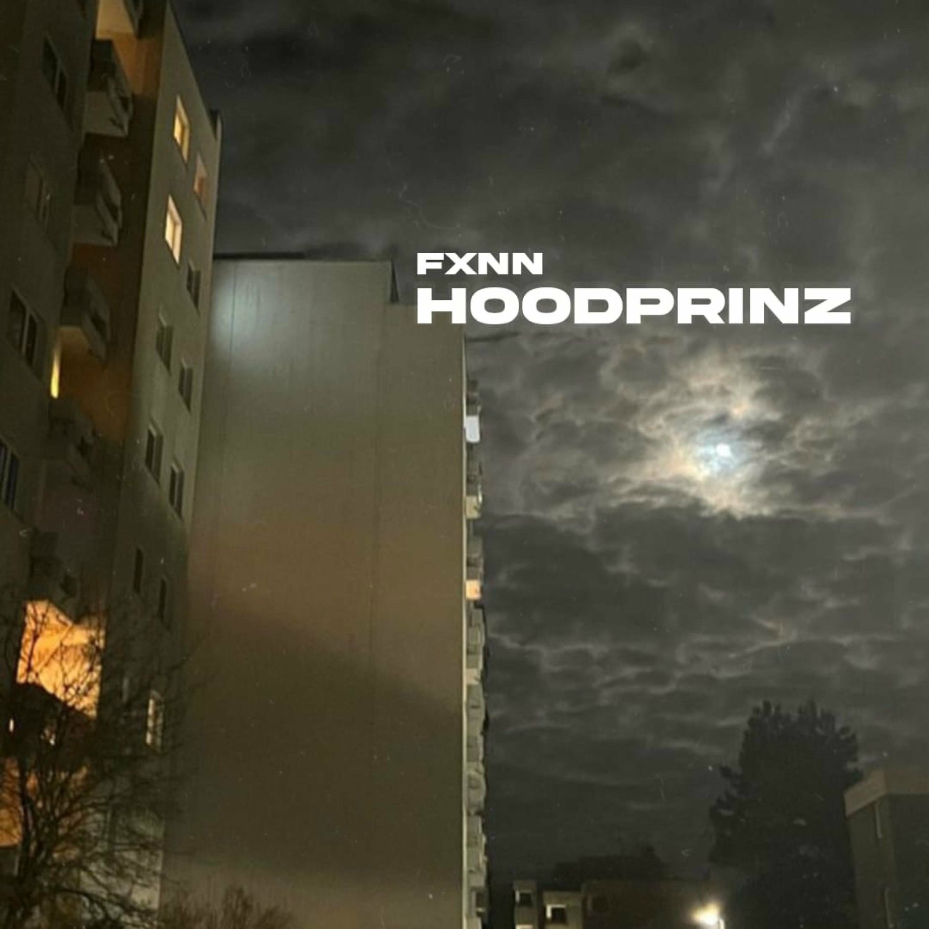 Album cover of HoodPrinz