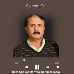 Cover of Raza Che Las Da Yarai Darkram Tapay