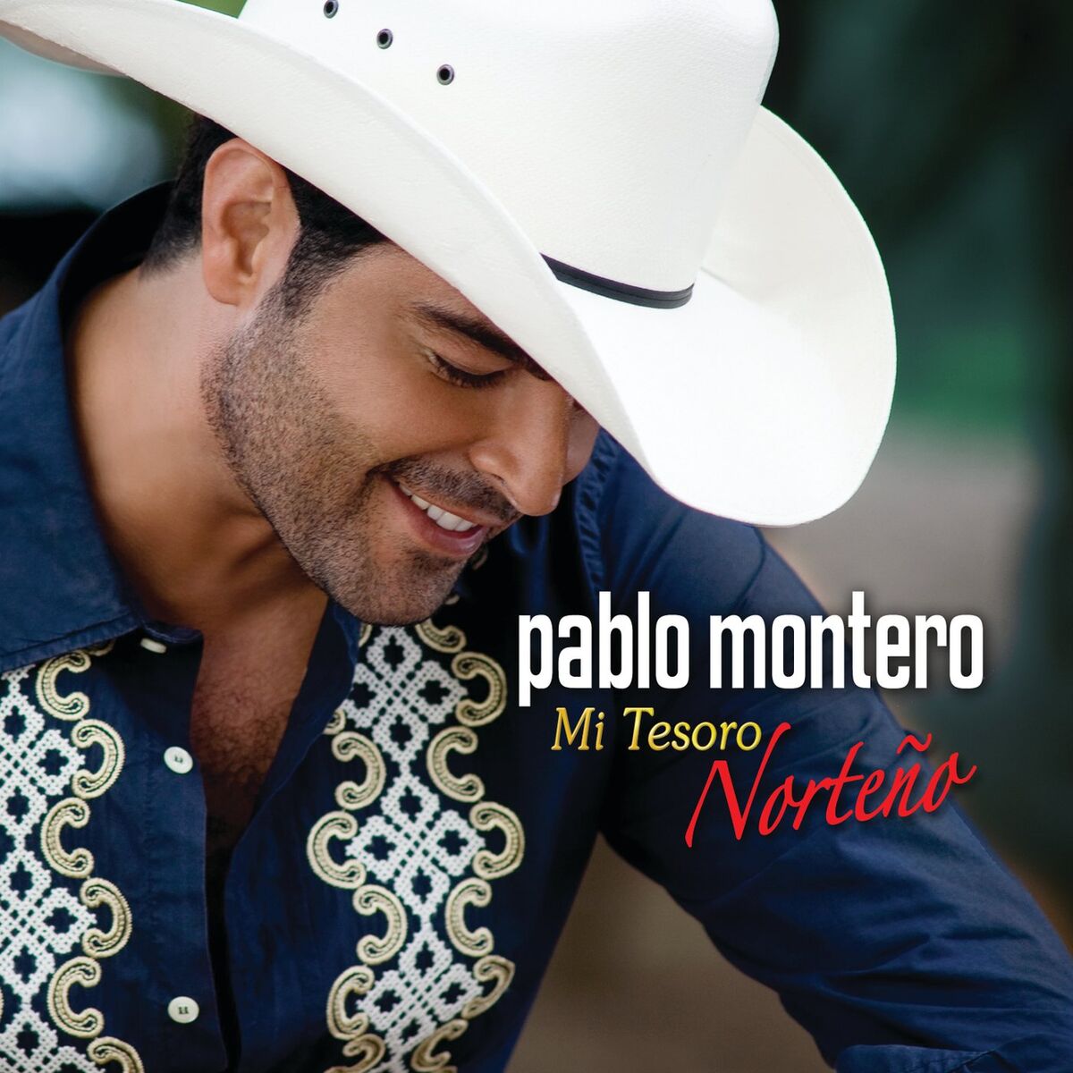 Album cover of Mi Tesoro Norteño