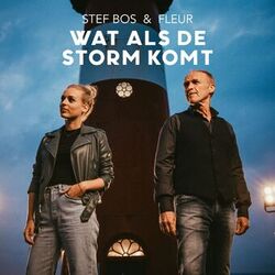 Cover of Wat Als De Storm Komt