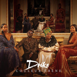 Cover of Couleur ébène