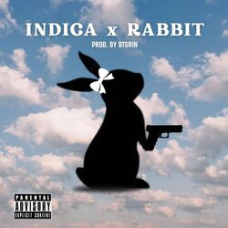 Cover of Rabbit