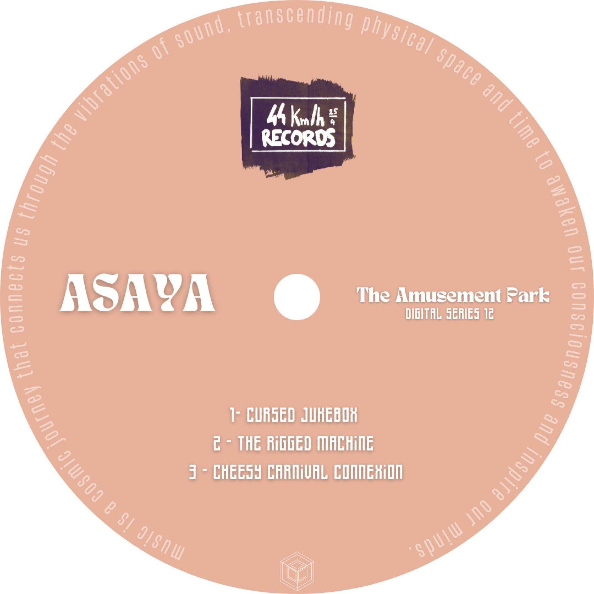Album cover of The Amusement Park