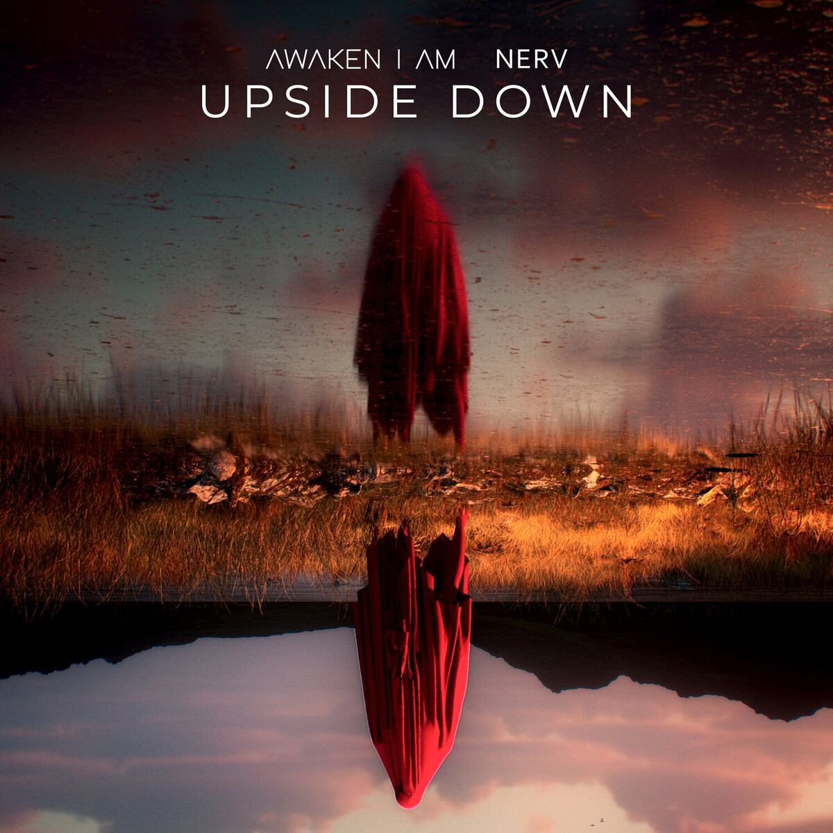 Album cover of Upside Down