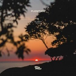 Cover of Plenitude