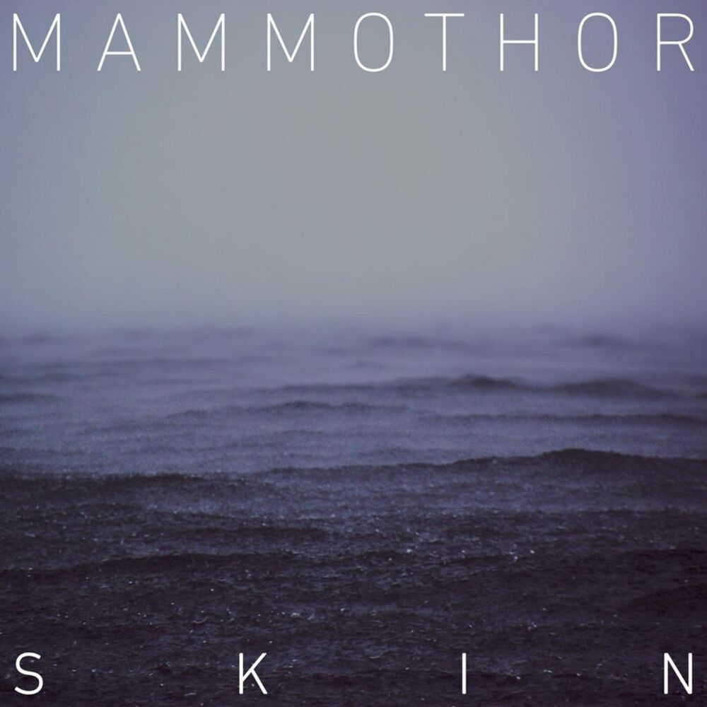 Picture of Skin