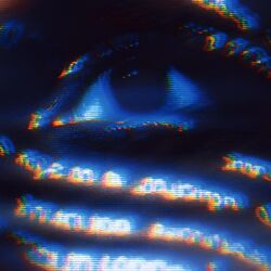 AMPLITUDE