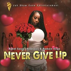 Cover of Never Give Up