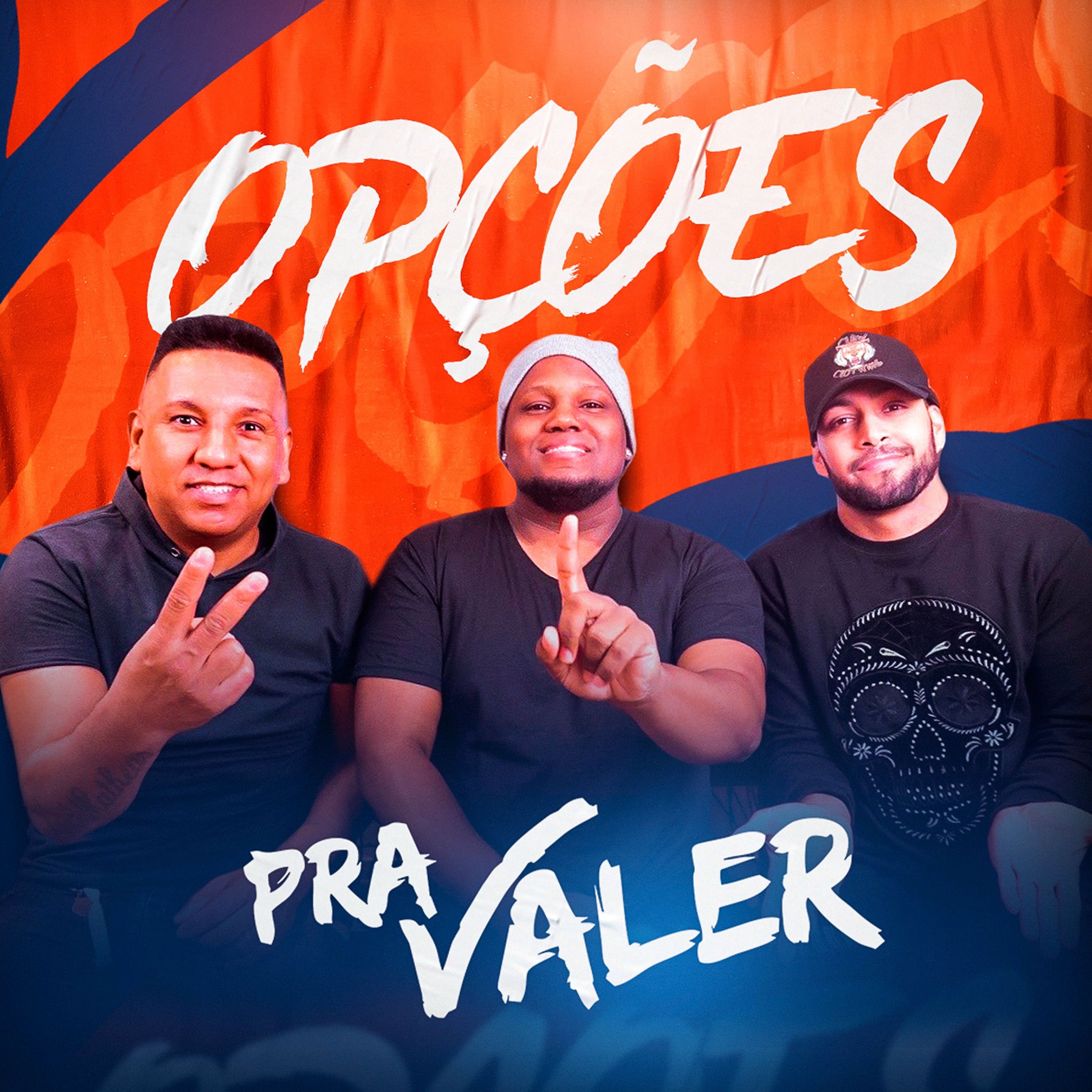 Album cover of Opções