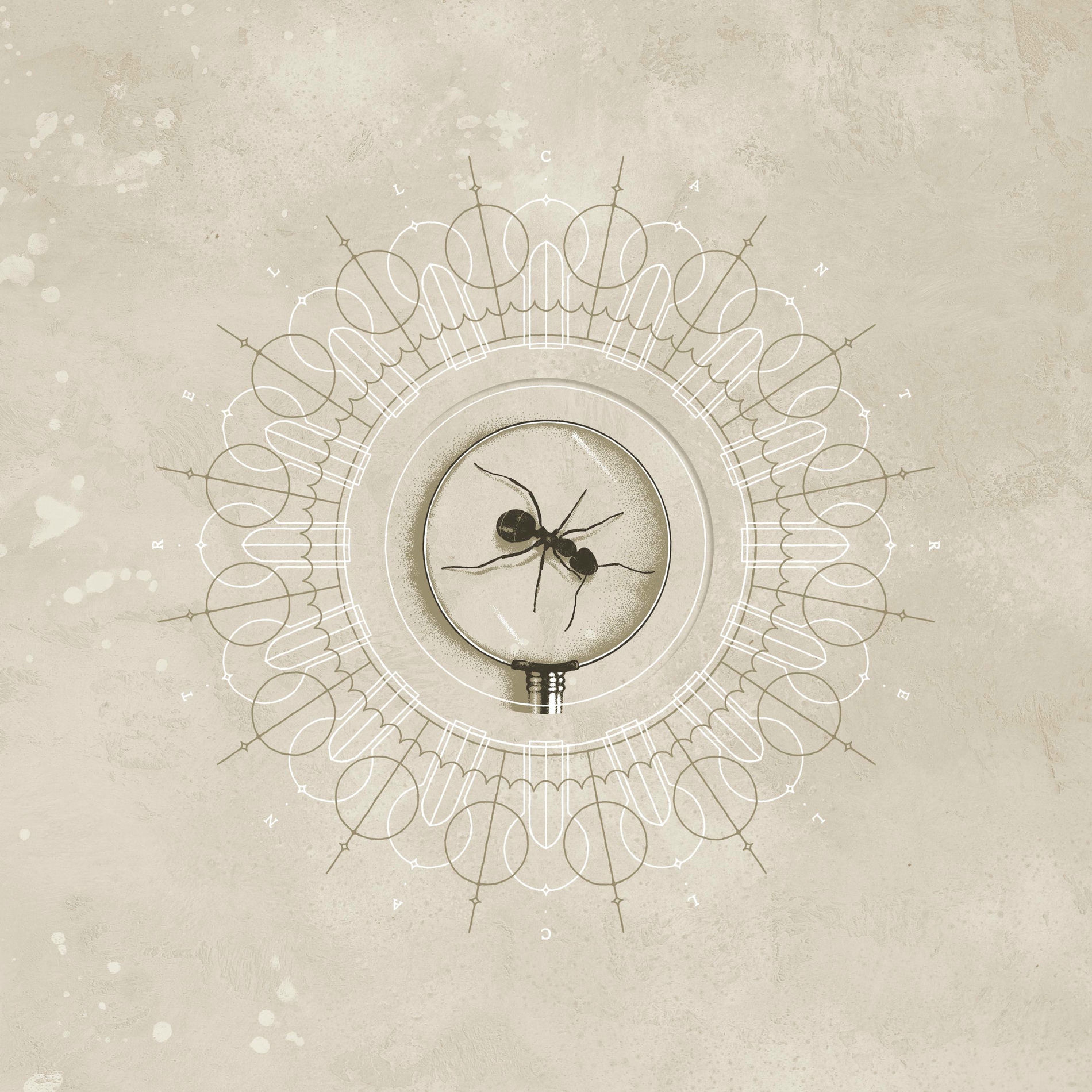Album cover of Brighten