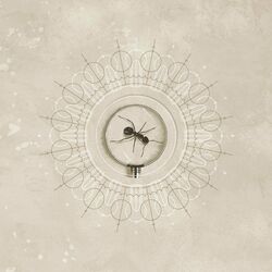 Cover of Brighten
