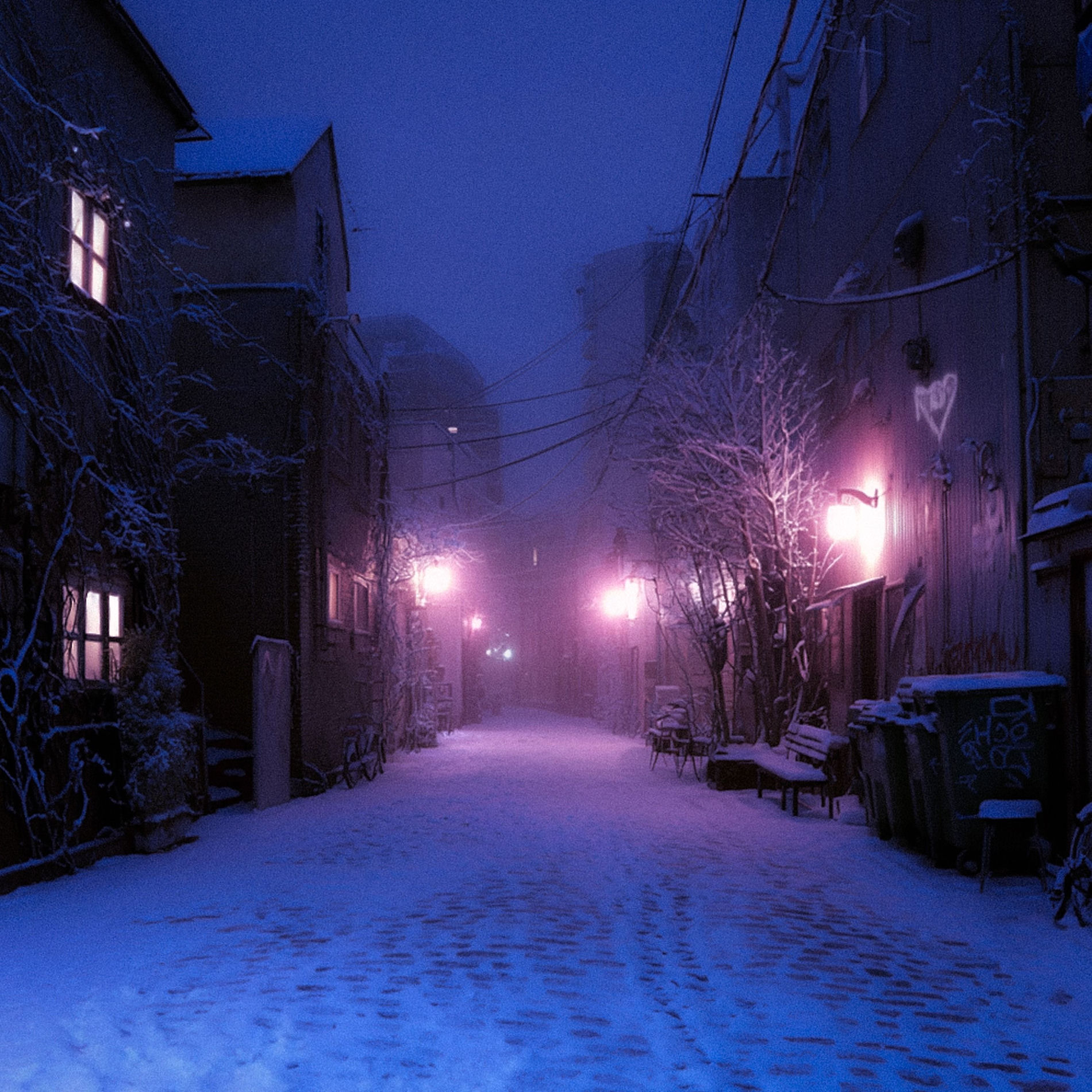 Album cover of comfort chain (ambient version)
