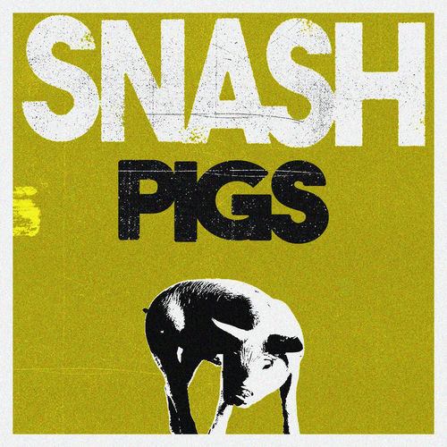 Descargar Pigs - Snash MP3