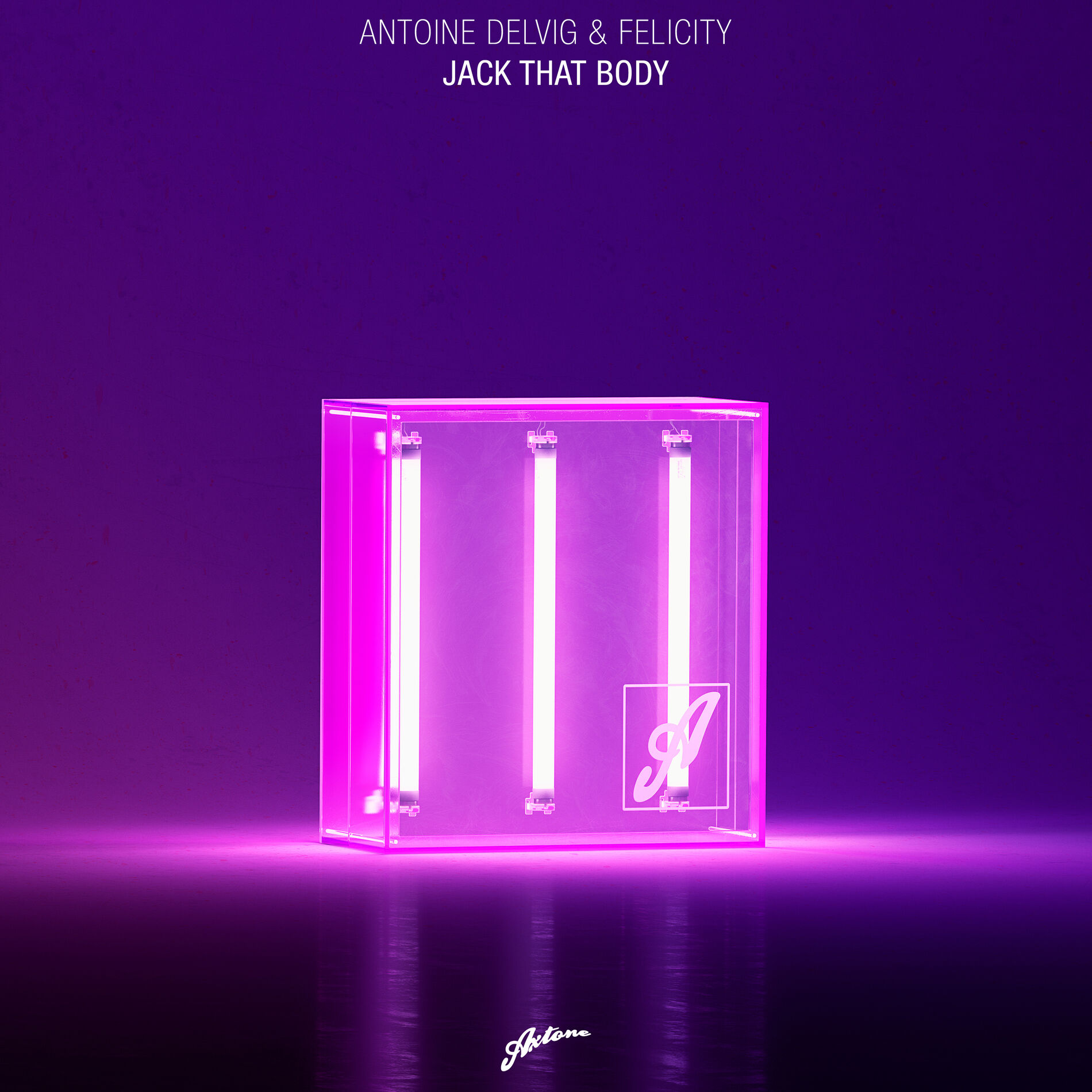 Album cover of Jack That Body