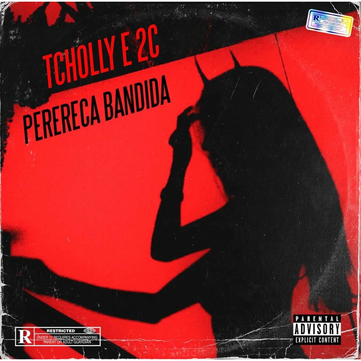 Album cover of perereca bandida