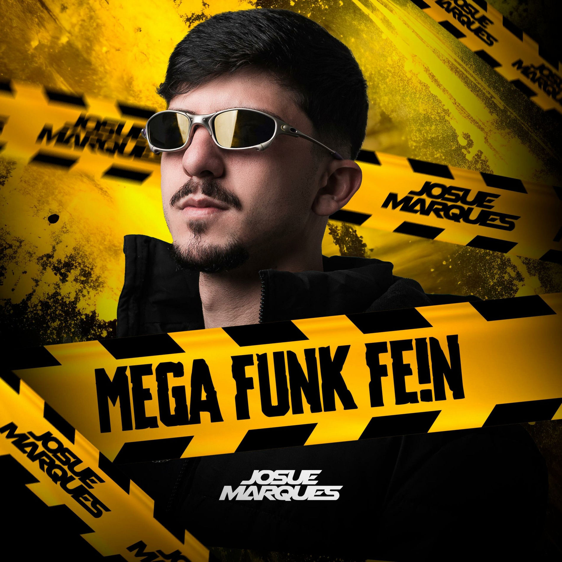 Album cover of Mega Fein