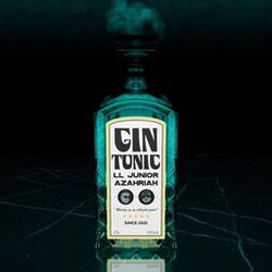 GIN TONIC