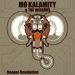 Cover of Deeper Revolution