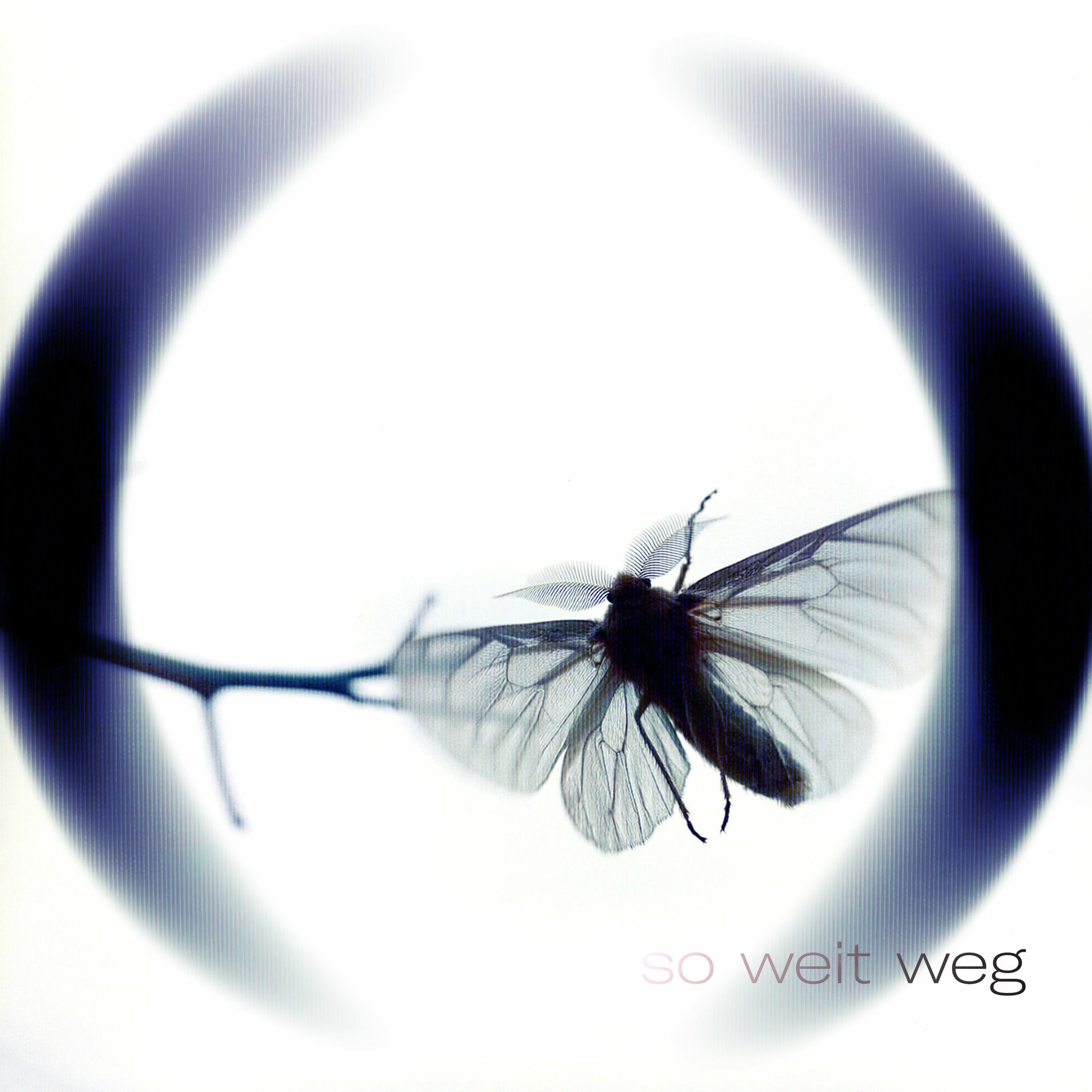 Album cover of So weit weg (Molekül)