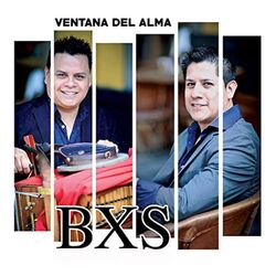 Cover of Ventana del Alma
