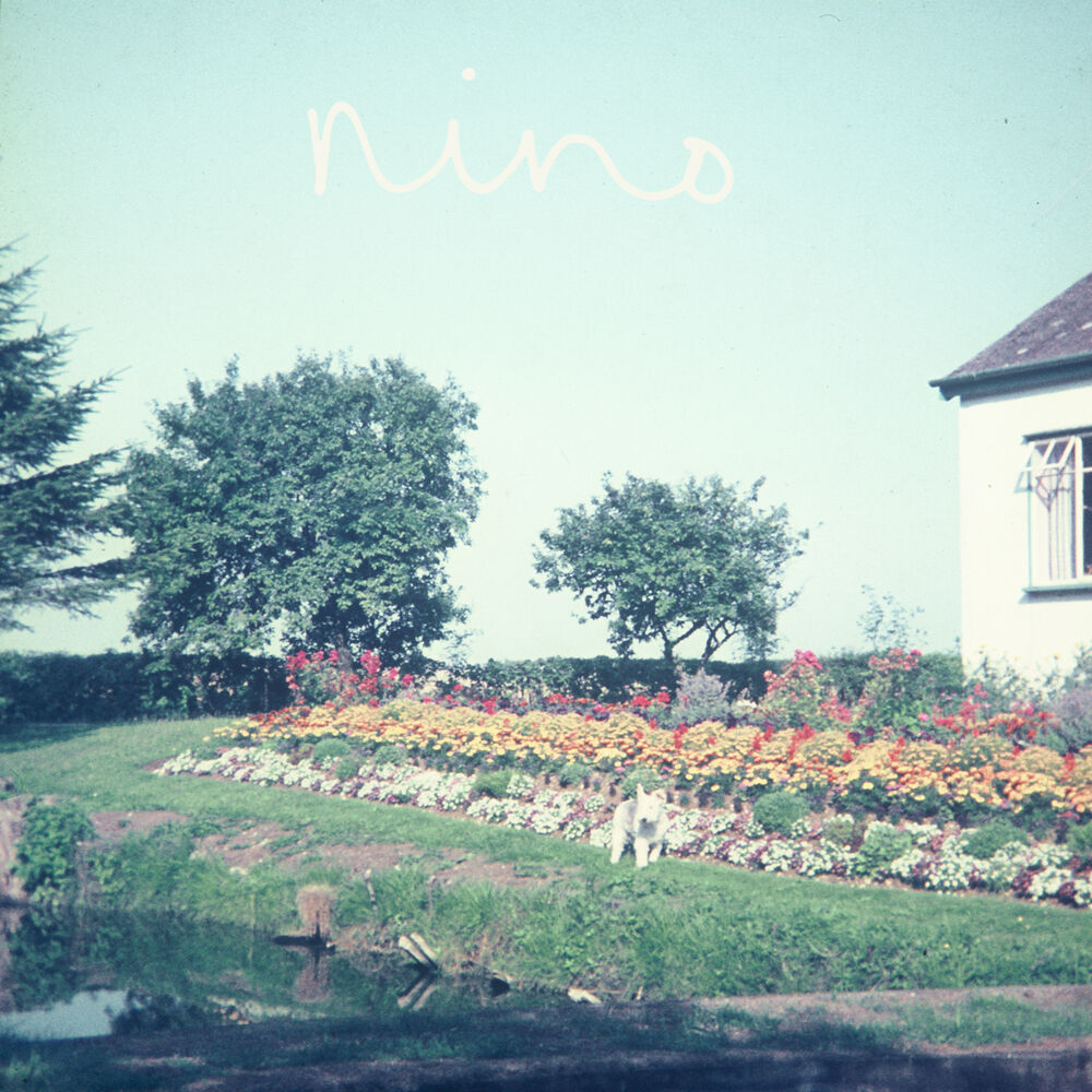 Picture of Nino