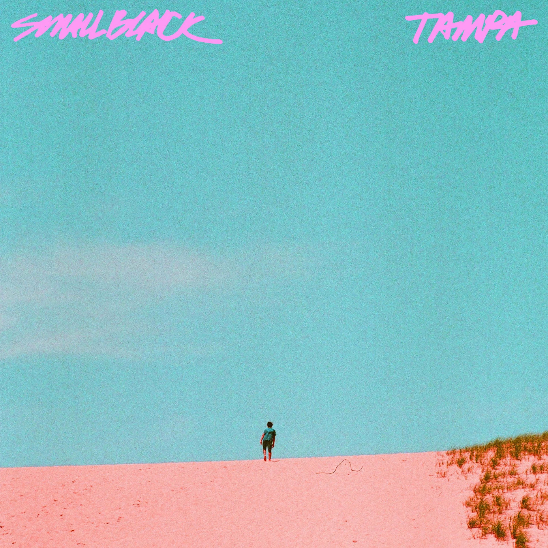 Album cover of Tampa
